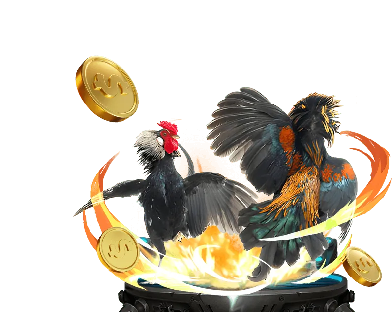 Quy tắc đặt cược và trò chơi viva88..net